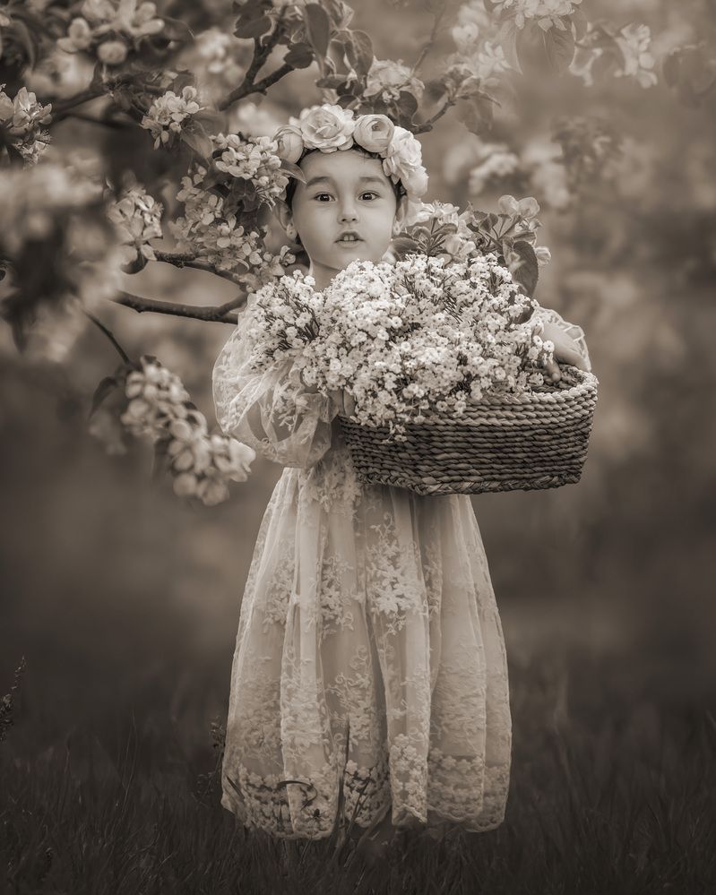 Photograph by Meilleurs Moments