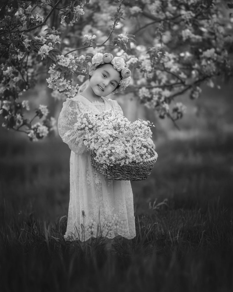 Photograph by Meilleurs Moments