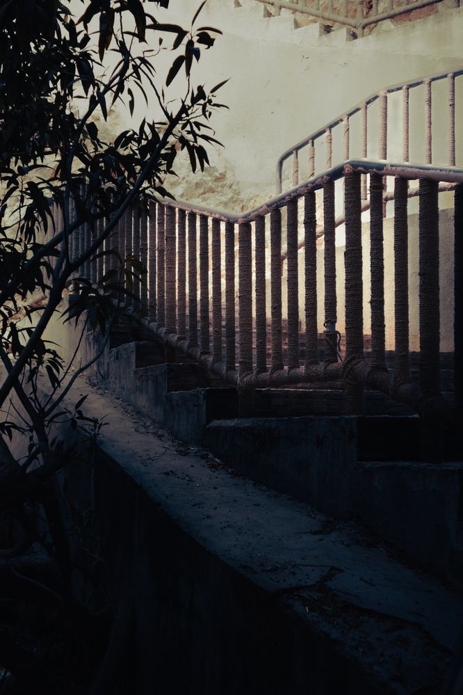 Фотография автора Sarrah Yehia