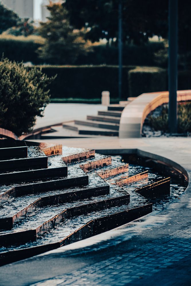 Фотография автора Sarrah Yehia