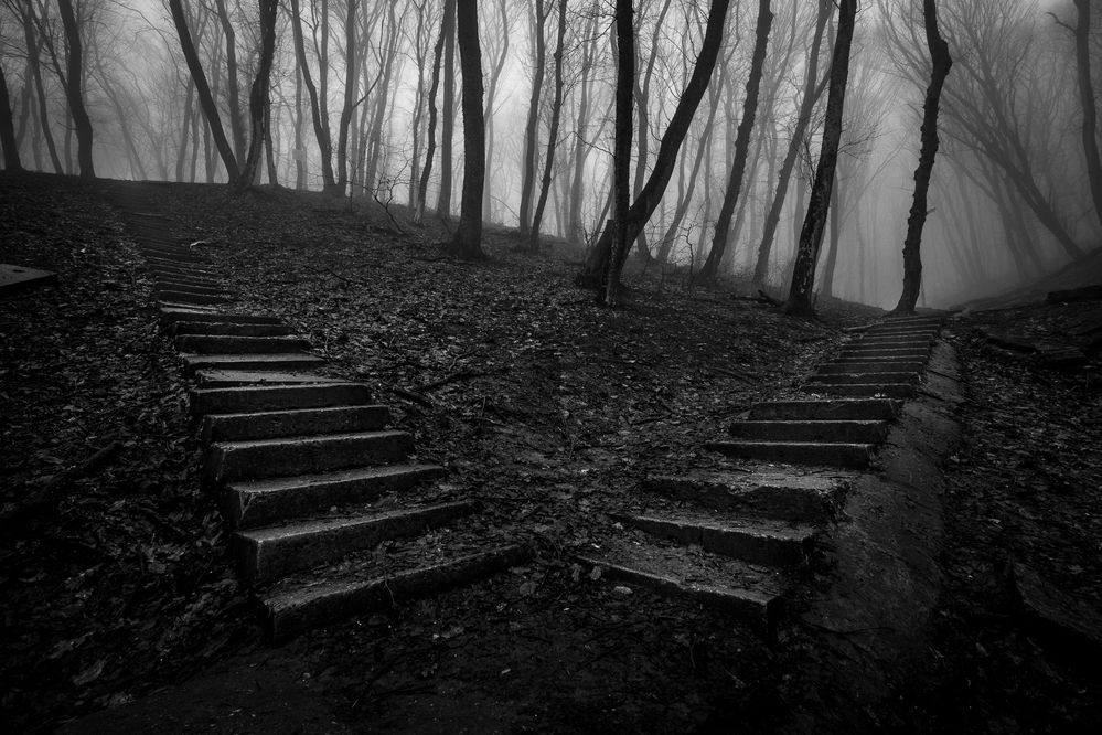 Photograph by Рымаров Александр