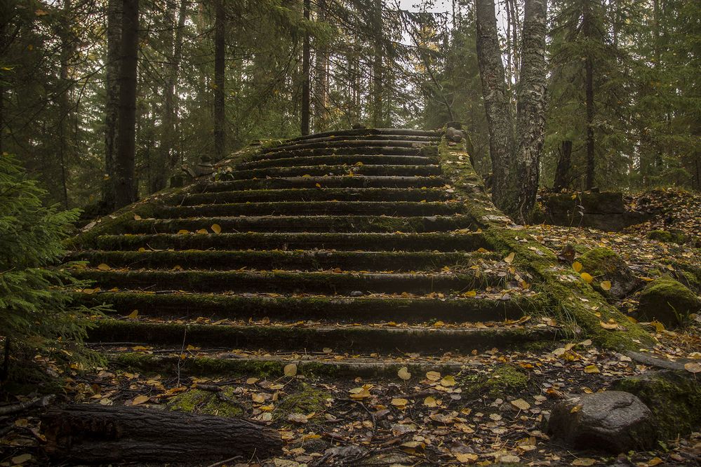 Photograph by Андрей Костромин