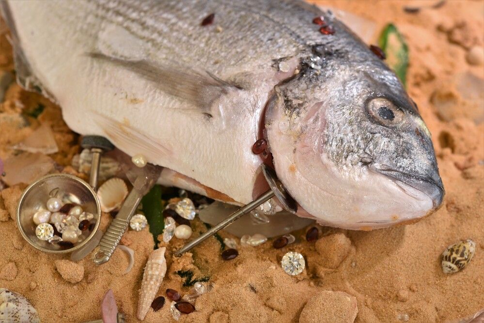 Фотография автора Ася Бабушкина