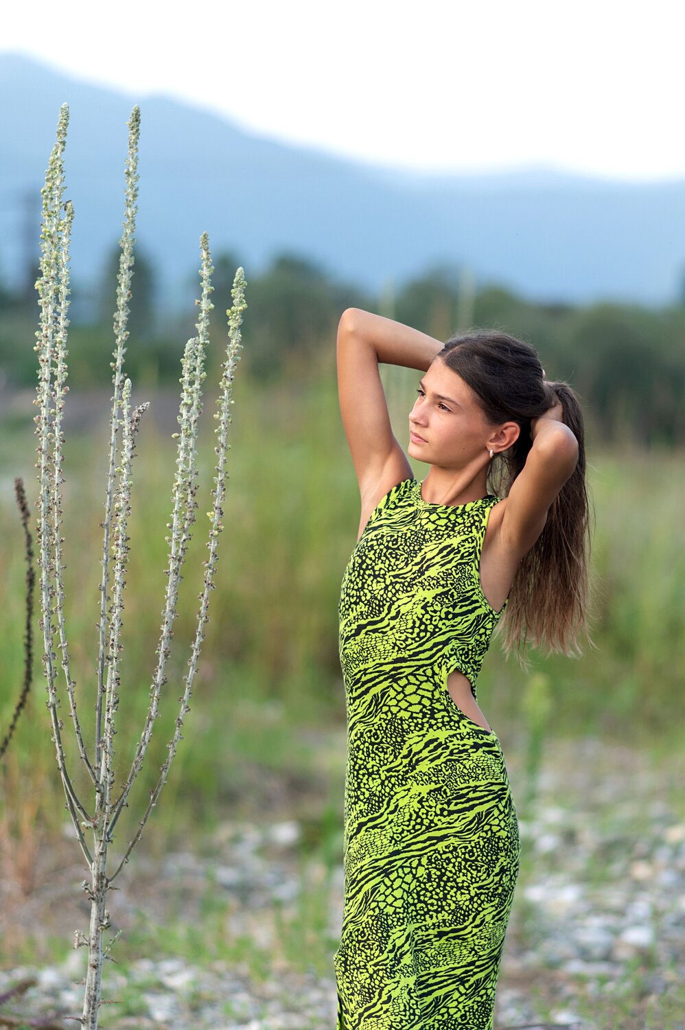 Photo #12681079