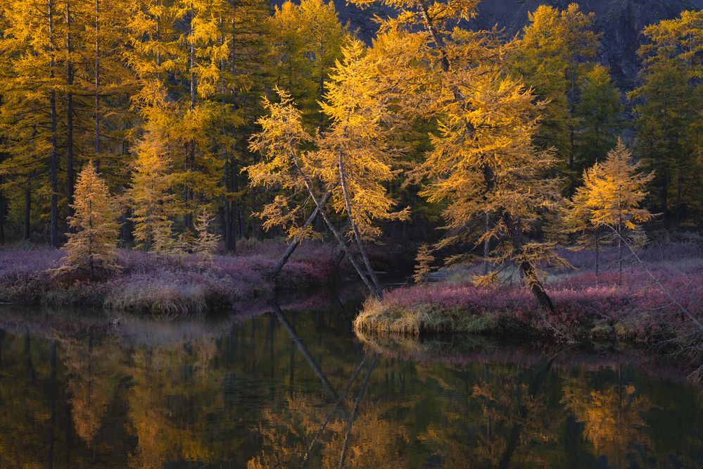 Photograph by Mikhail Ioannisian