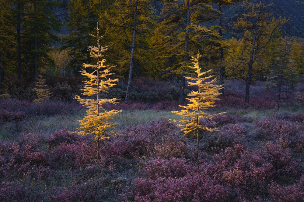 Photograph by Mikhail Ioannisian