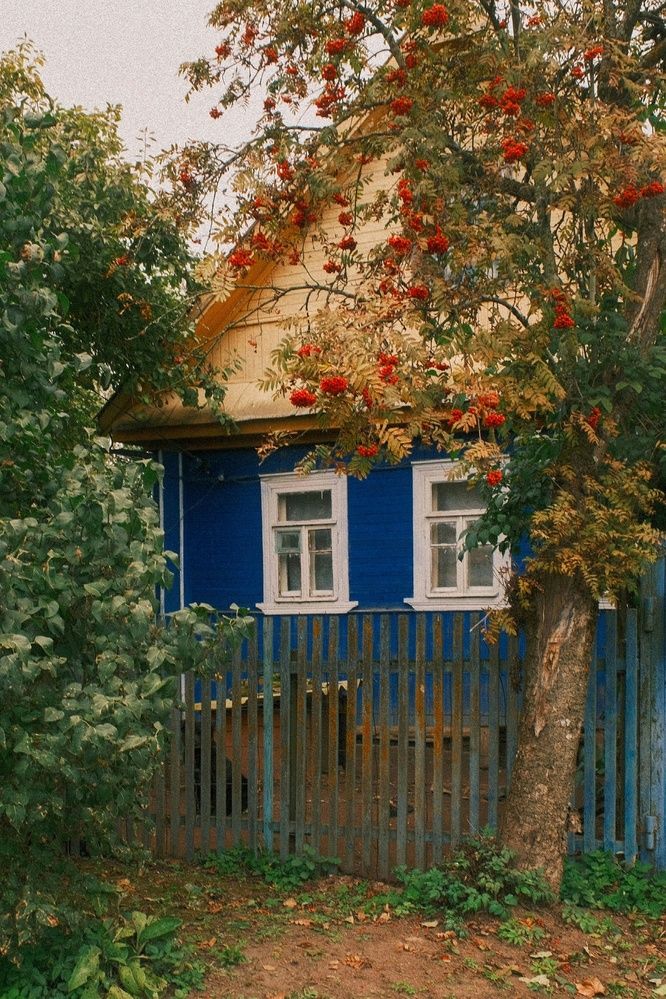 Осень в деревне.