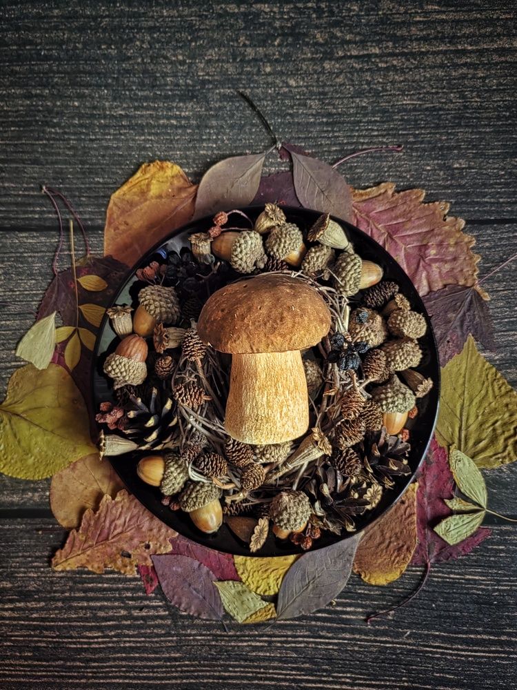 Фотография автора НАТАЛЬЯ СЕВЕР