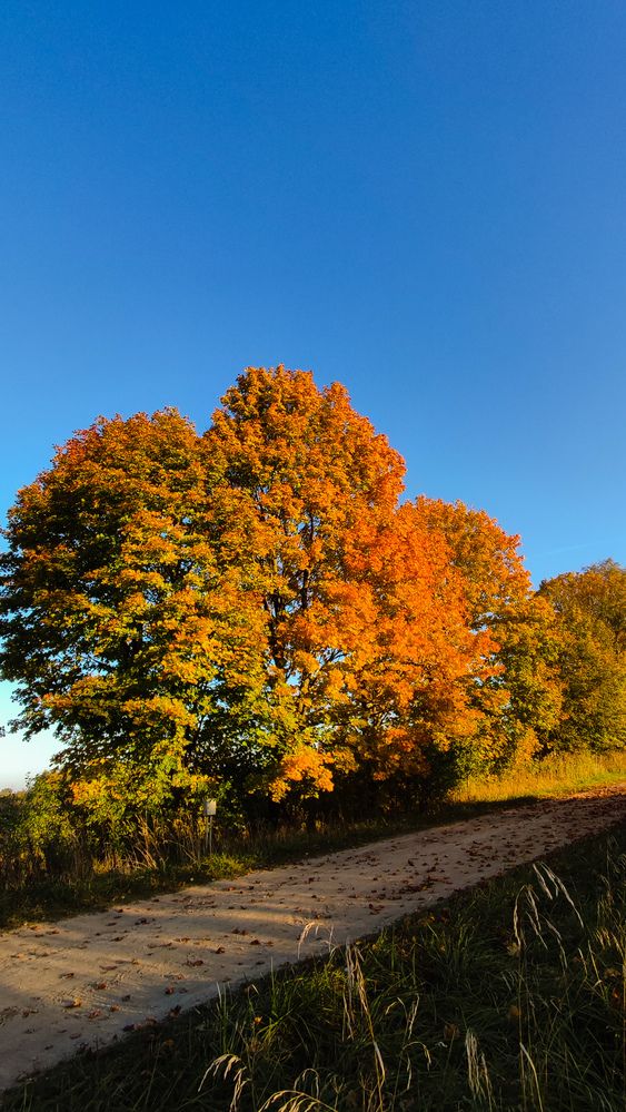 Photograph by Анастасия Гиринская