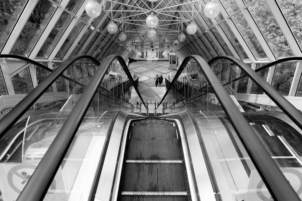 Photograph by Машевский Владимир