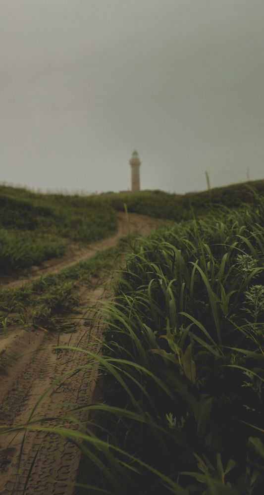 Photograph by Ольга Глущенко