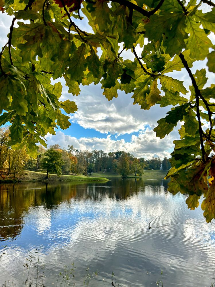 Photograph by Татьяна Шмакова
