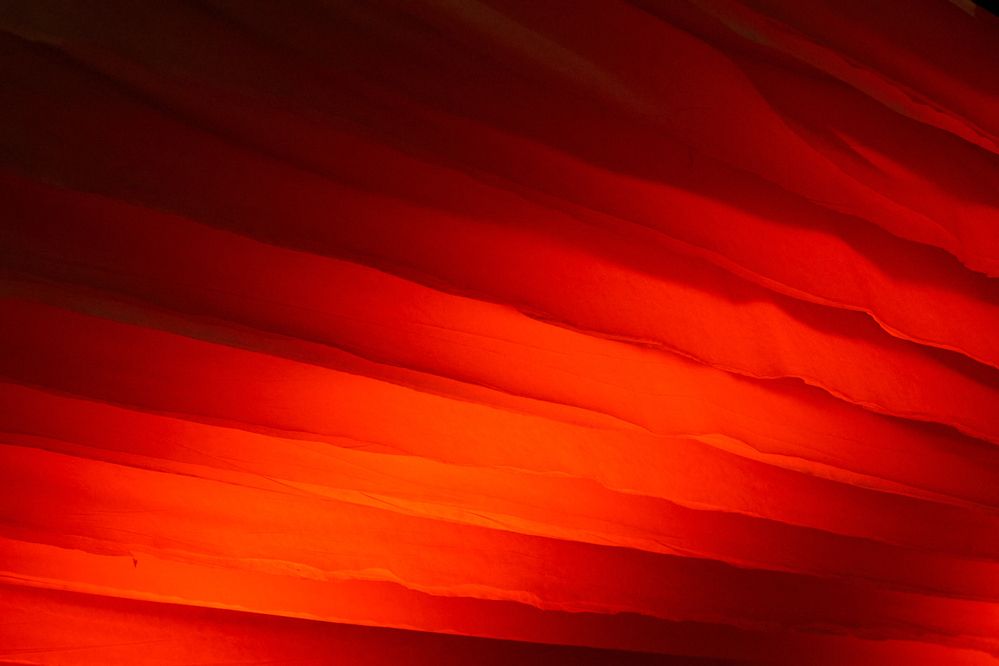 Photograph by Лебедев Кирилл