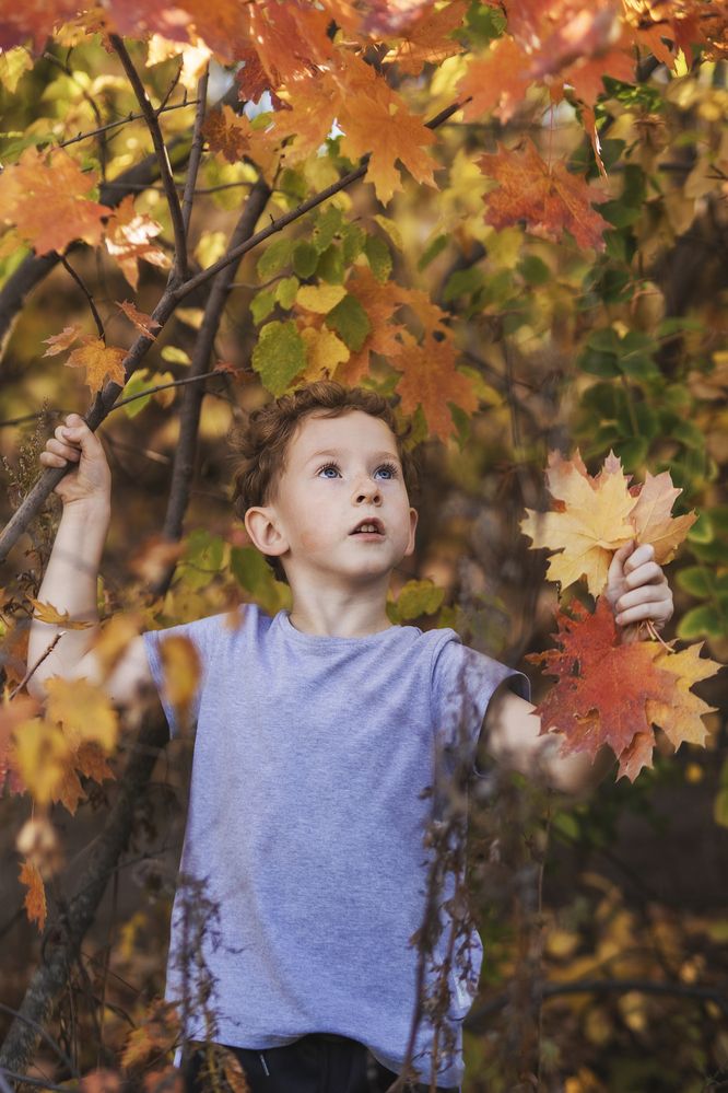 Photograph by Ольга Сорокина