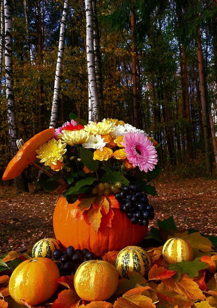 Красивая осень