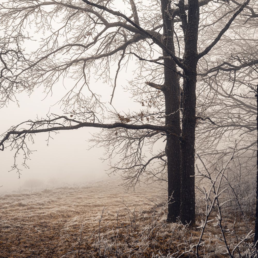 Фотография автора Сухенко Олег