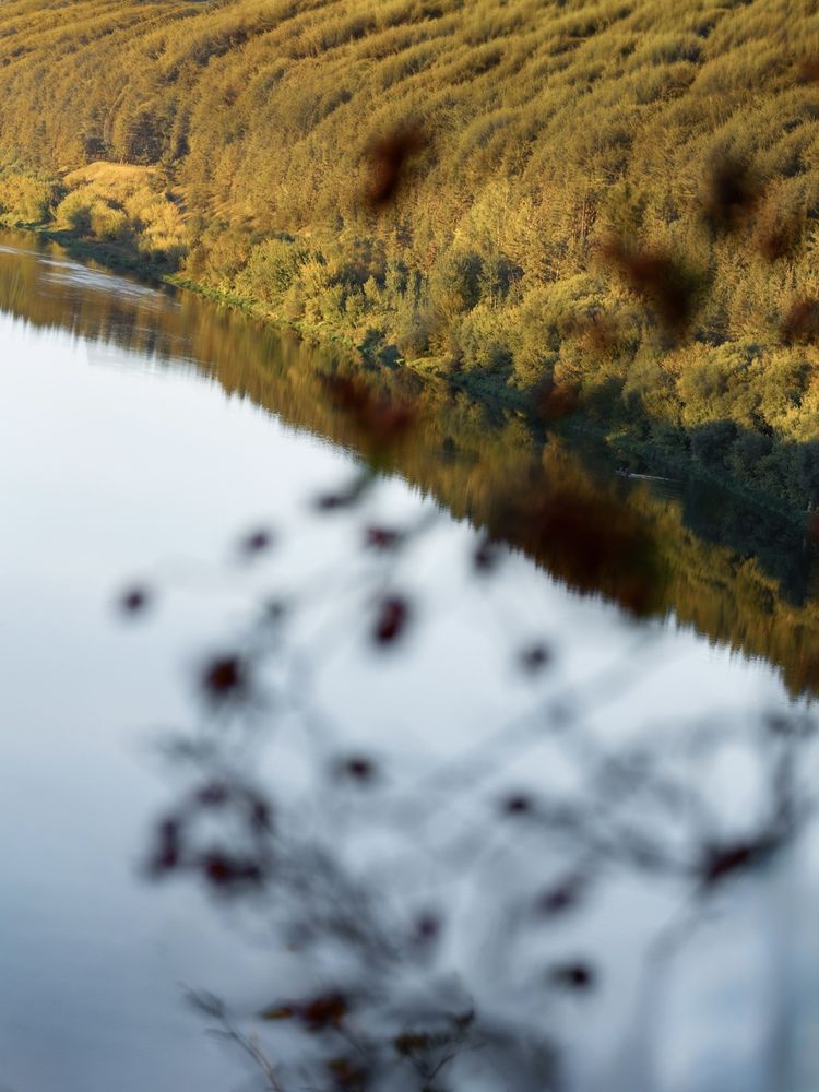 Photograph by Елизавета Хлусова