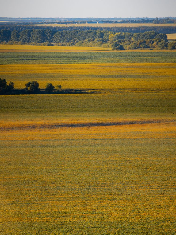 Photograph by Елизавета Хлусова