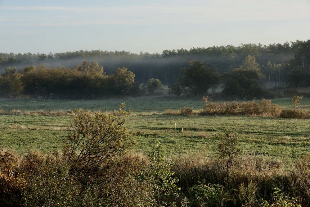 Photograph by Дина Чехова