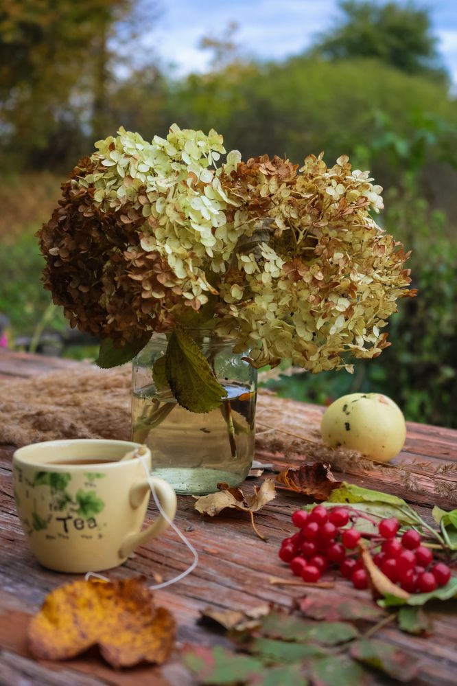 Photograph by Наталья Клячина