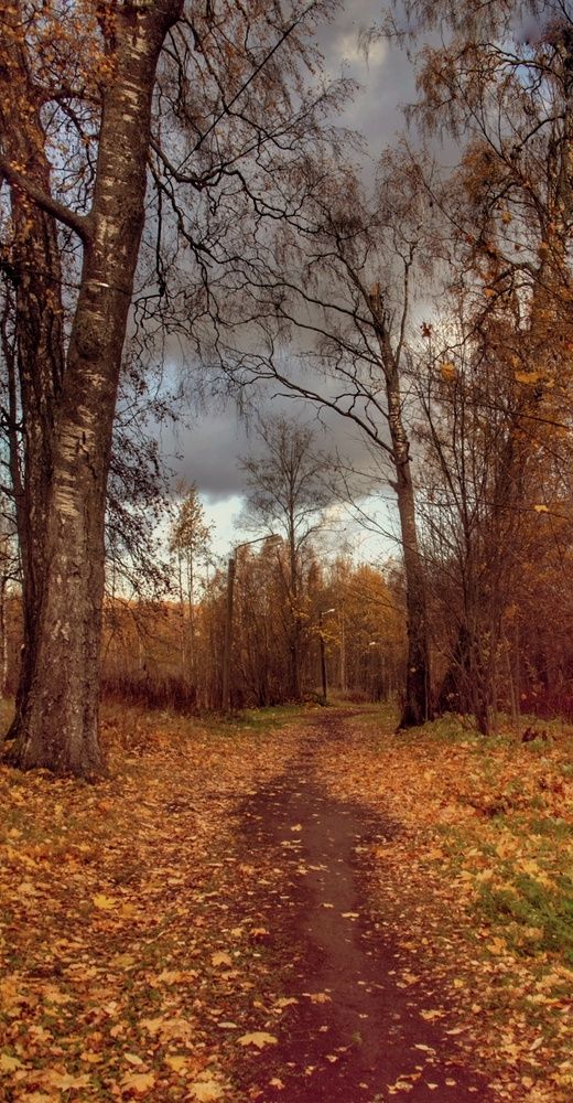 Photograph by Виктор Крючков