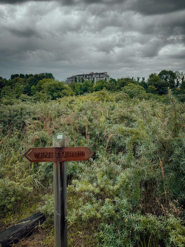 Photograph by Пыльцева Юлия
