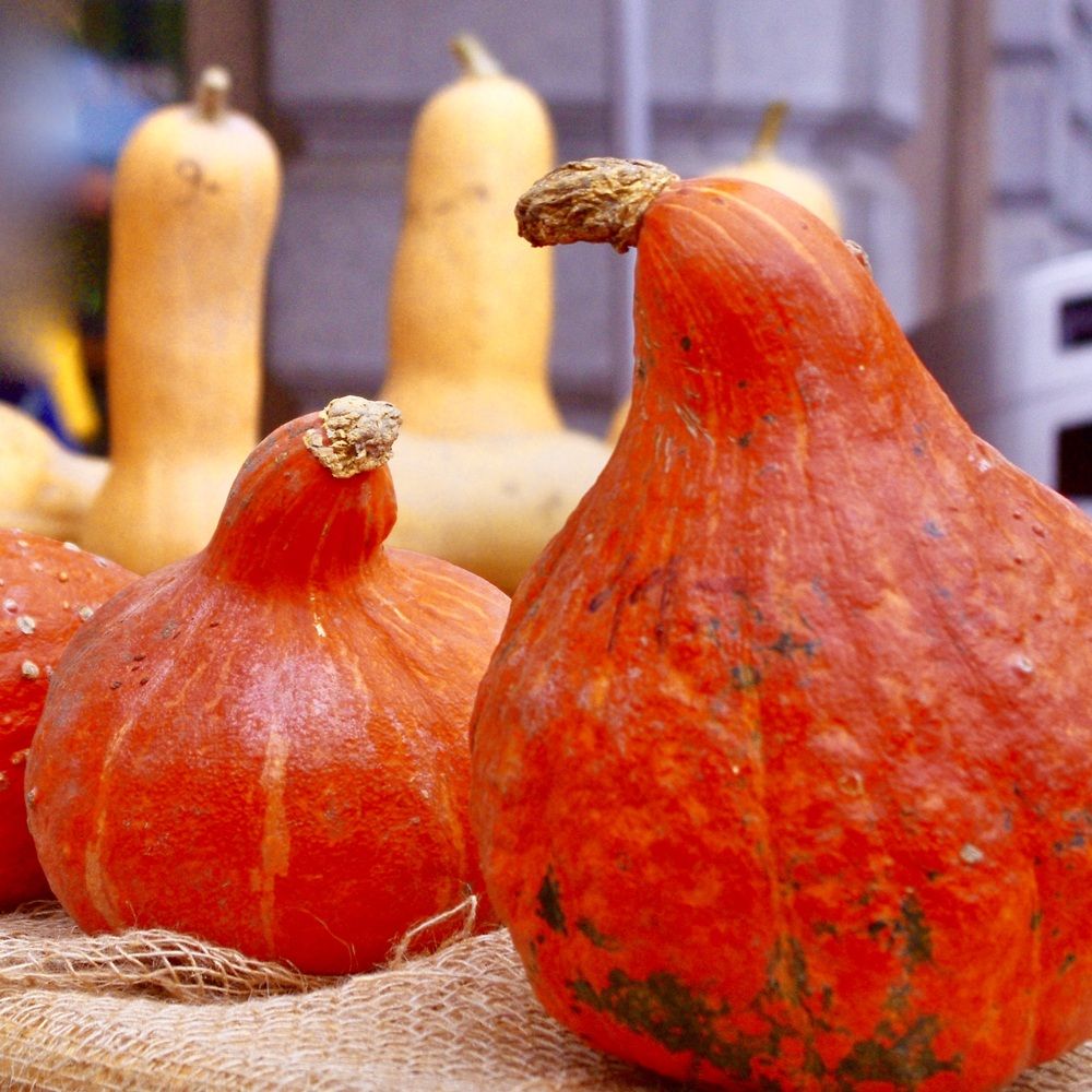 Photograph by Dario Meroni