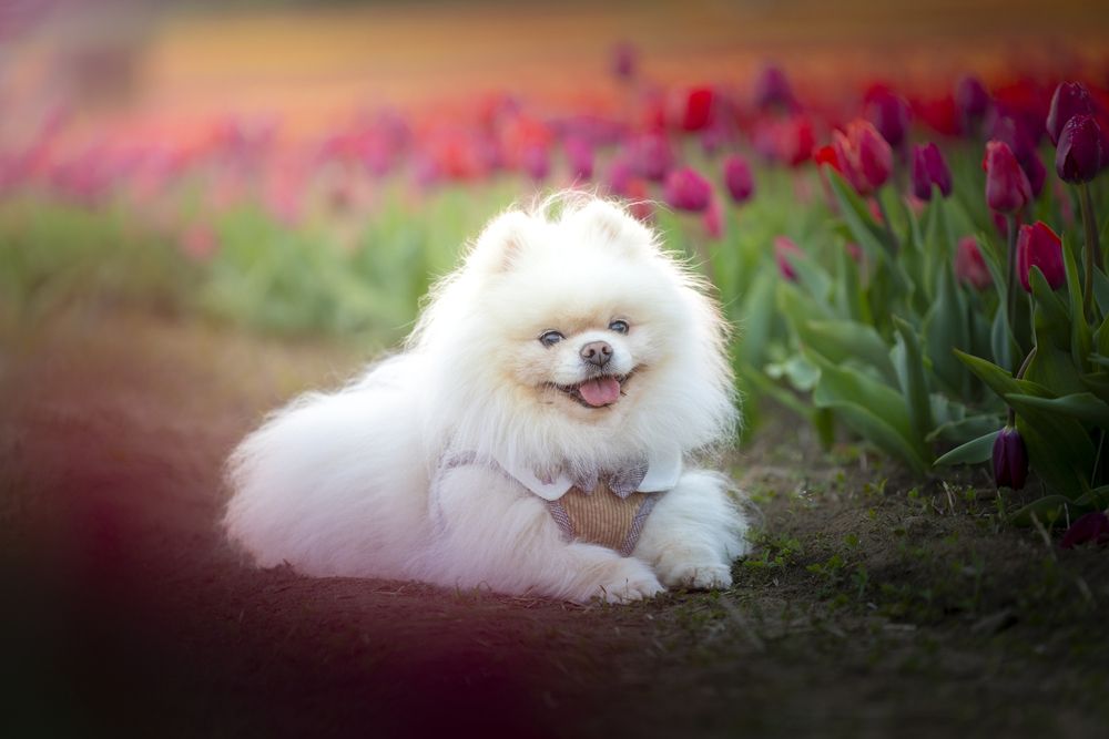 Photograph by Lu Gao