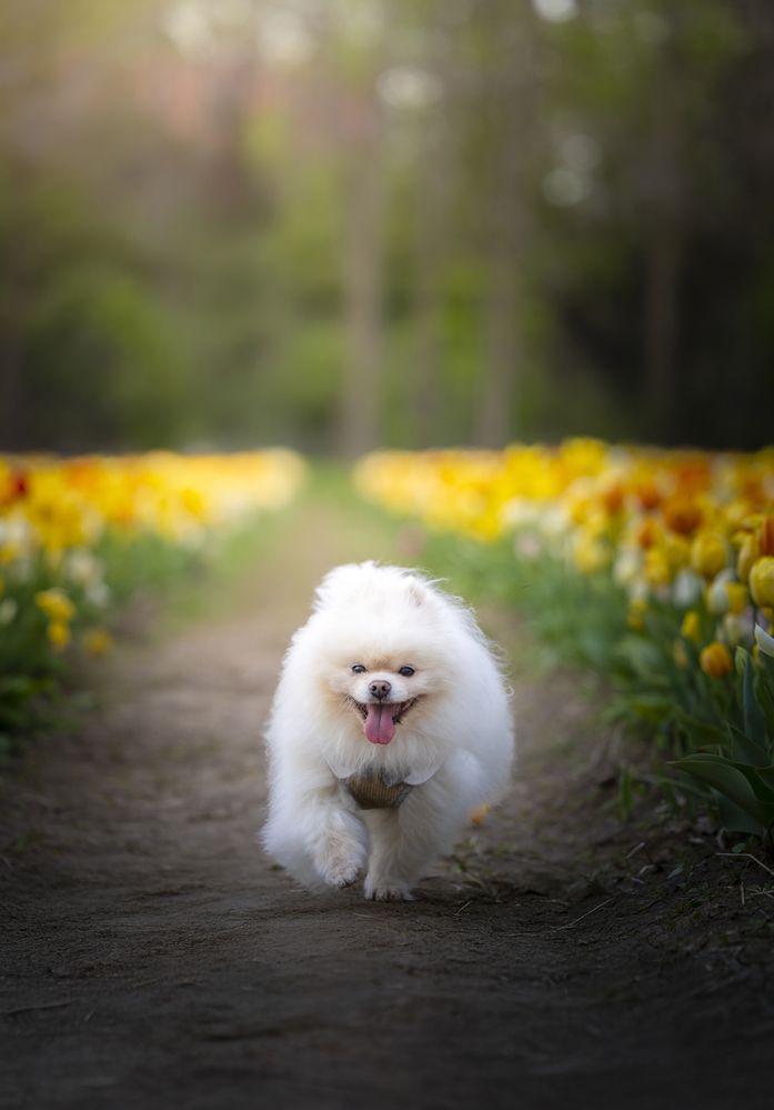 Photograph by Lu Gao