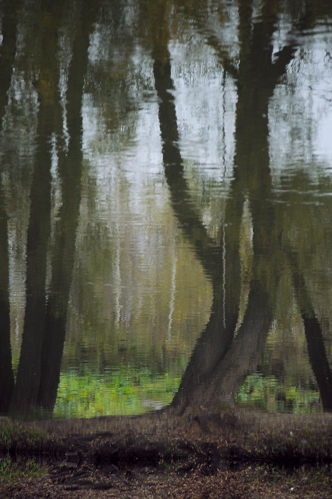 Photograph by Алексей Власов