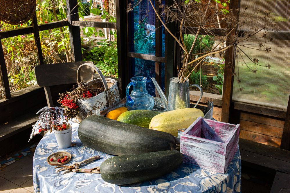 Photograph by Дронов Михаил