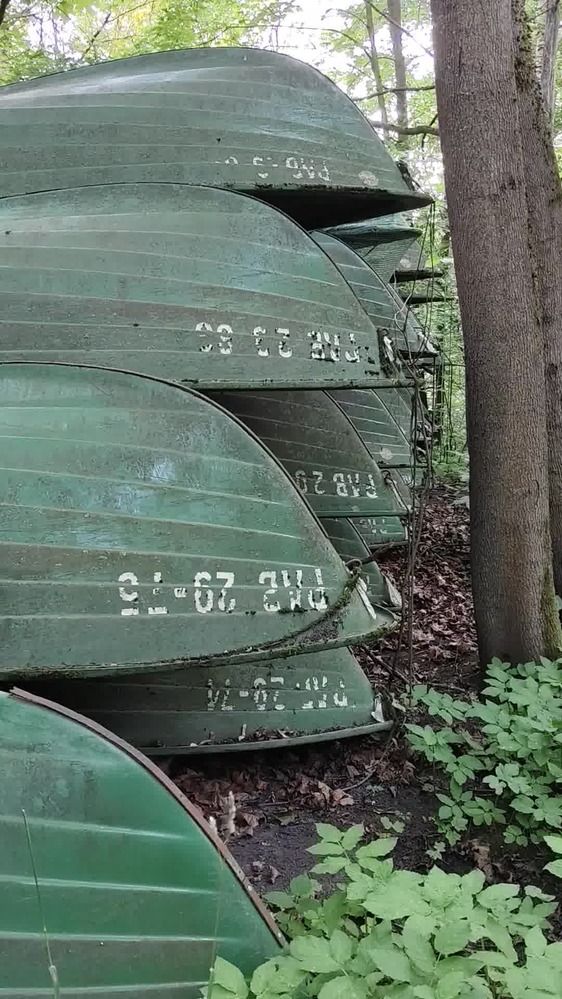 Woodland boats