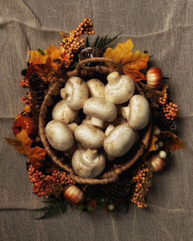 Фотография автора Ирина Павлова