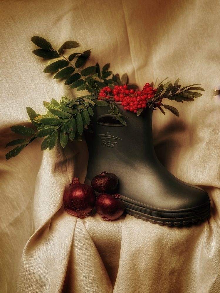 Фотография автора Ирина Павлова