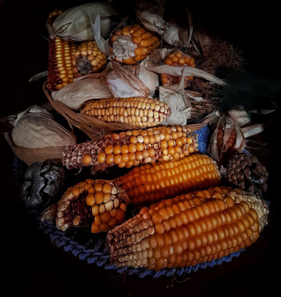 Photograph by Roberto Hagemann