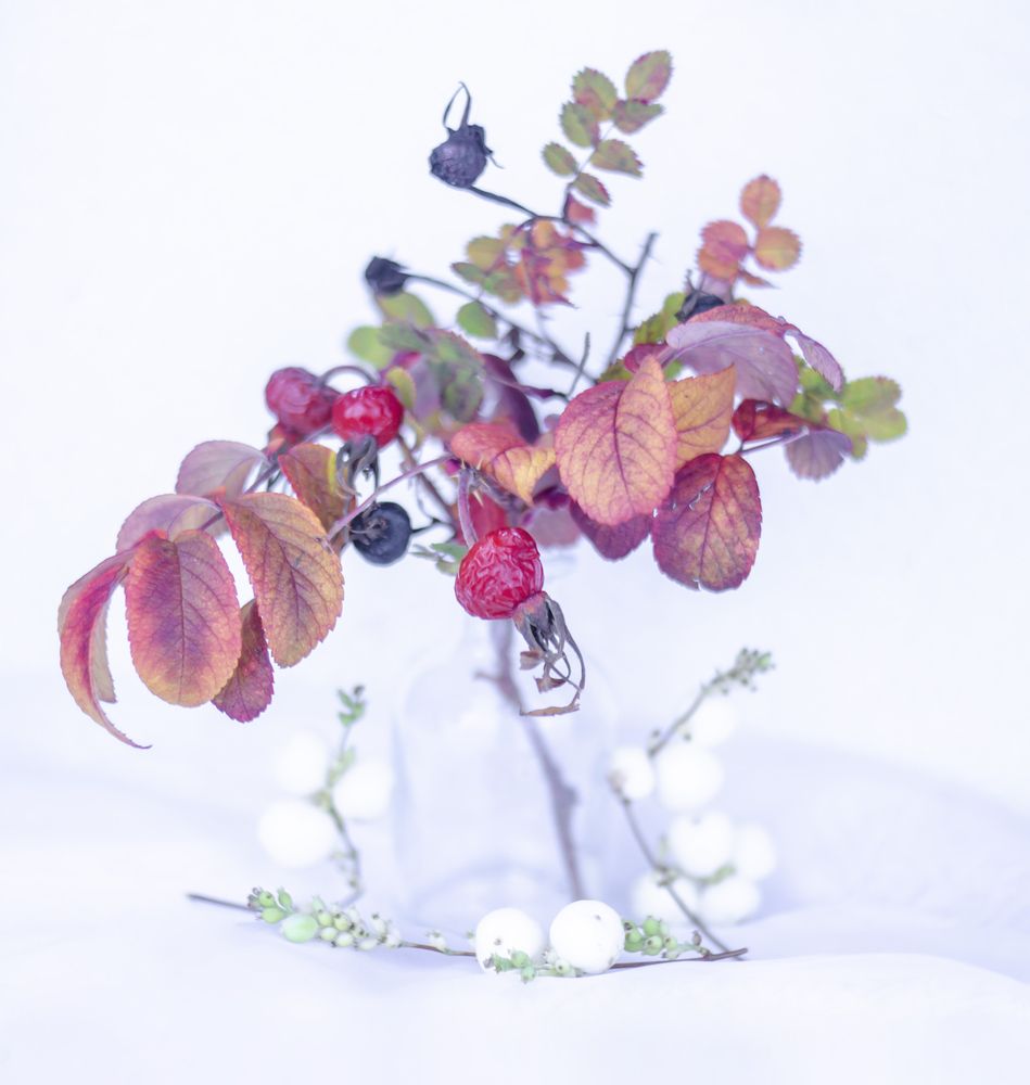 Photograph by Любовь Бусова