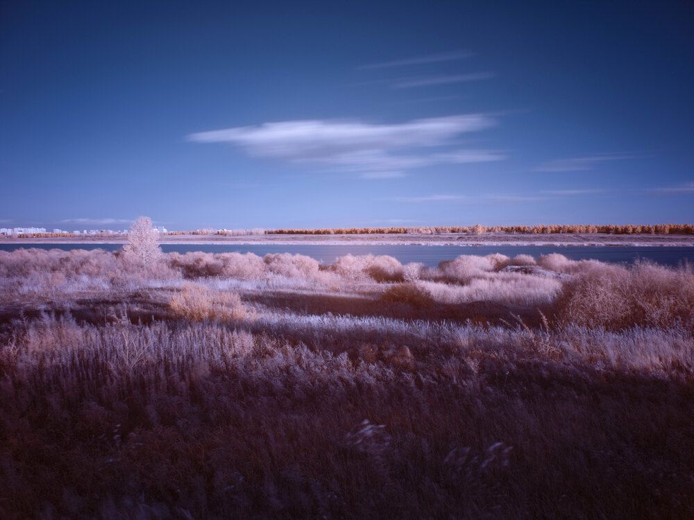 Photograph by Chen Chen