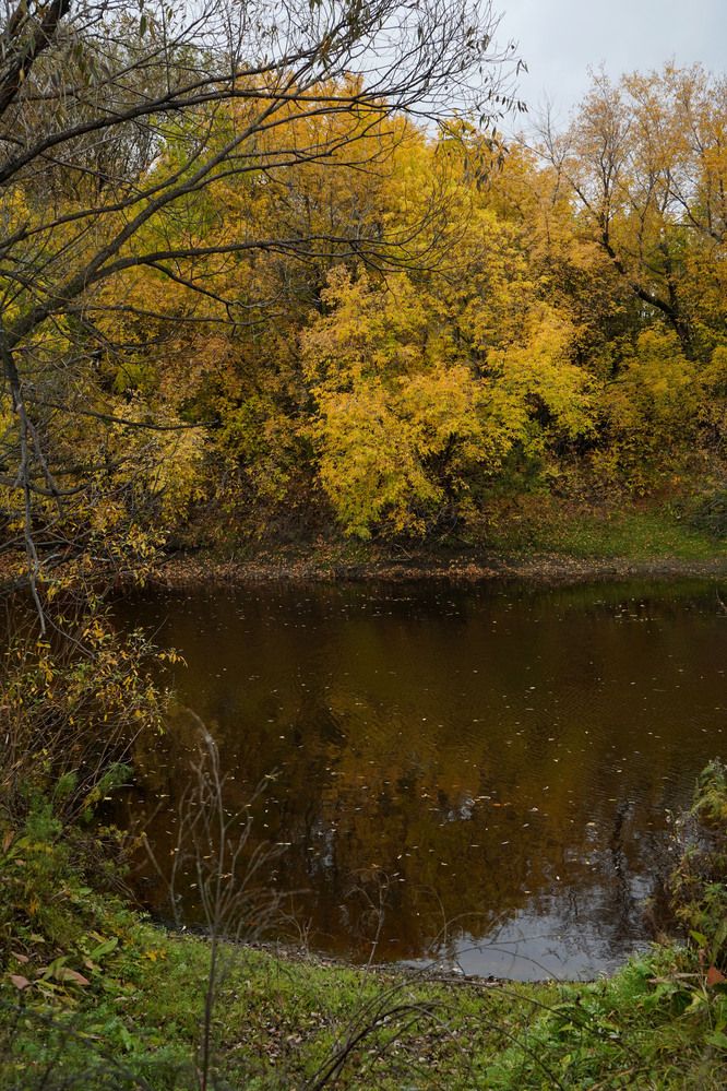 Photograph by Любовь Лунина