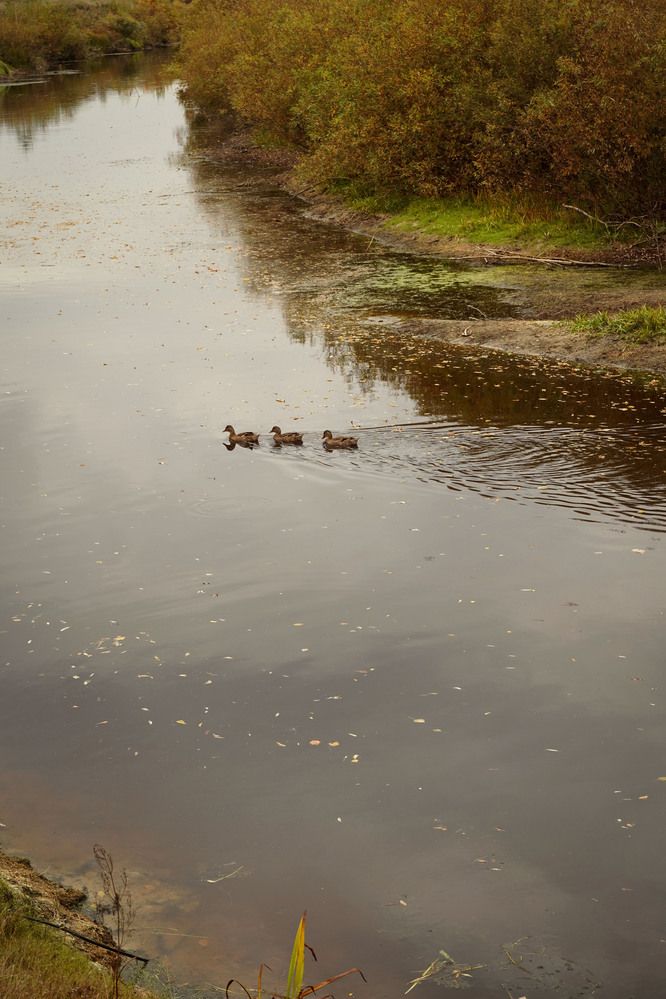 Photograph by Любовь Лунина