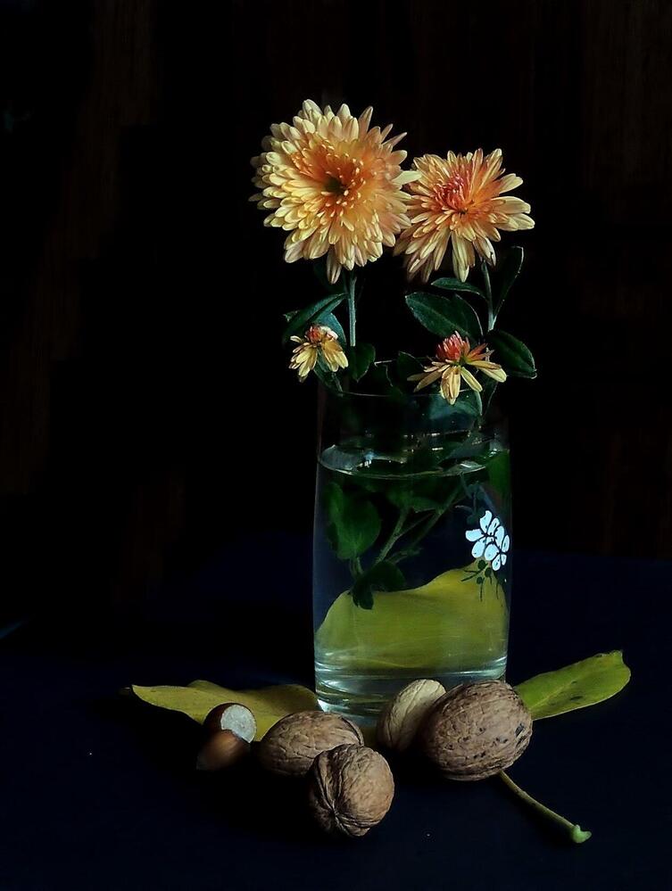 Photograph by Савоцкий Роман