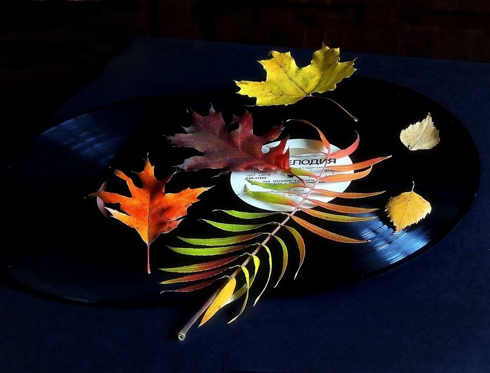 Photograph by Савоцкий Роман