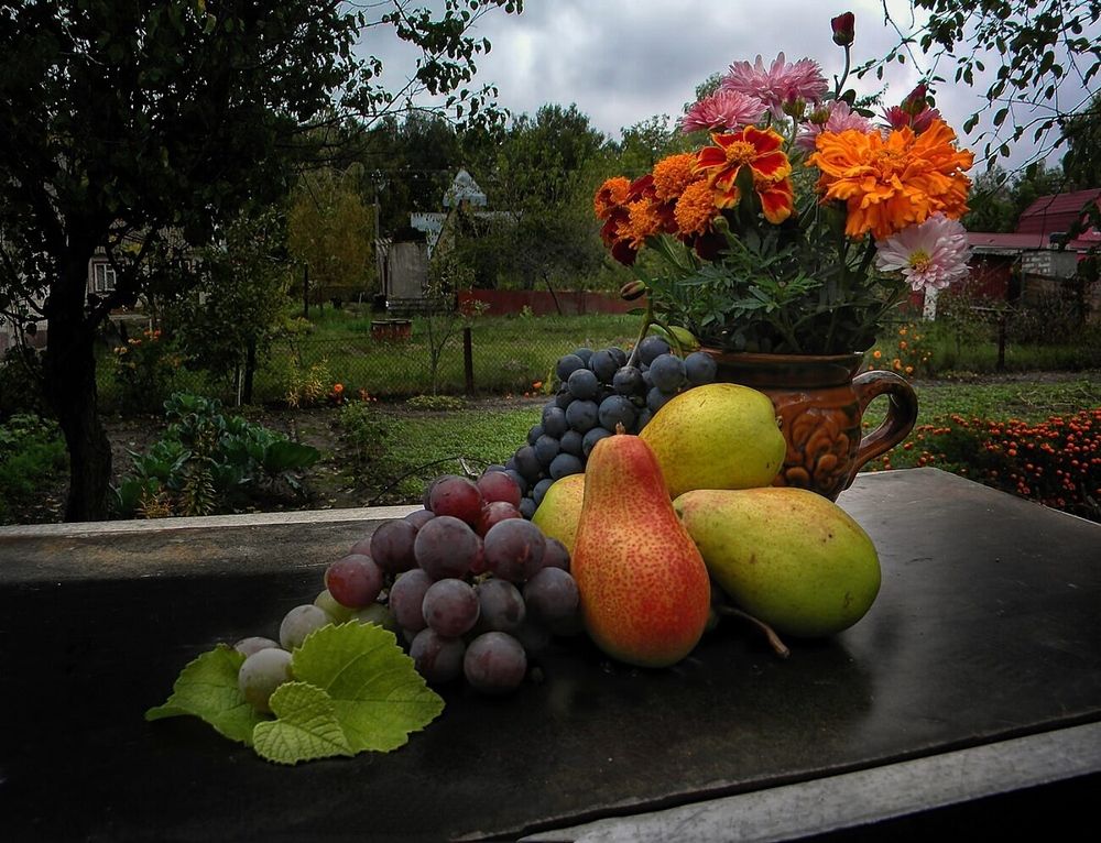 Photograph by Савоцкий Роман