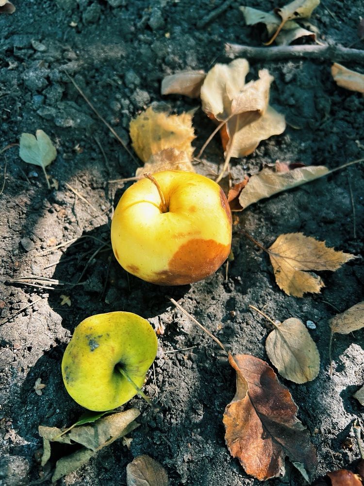 Photograph by Оксана