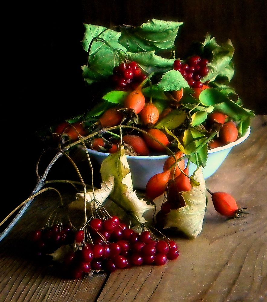 Фотография автора Роман Савоцкий