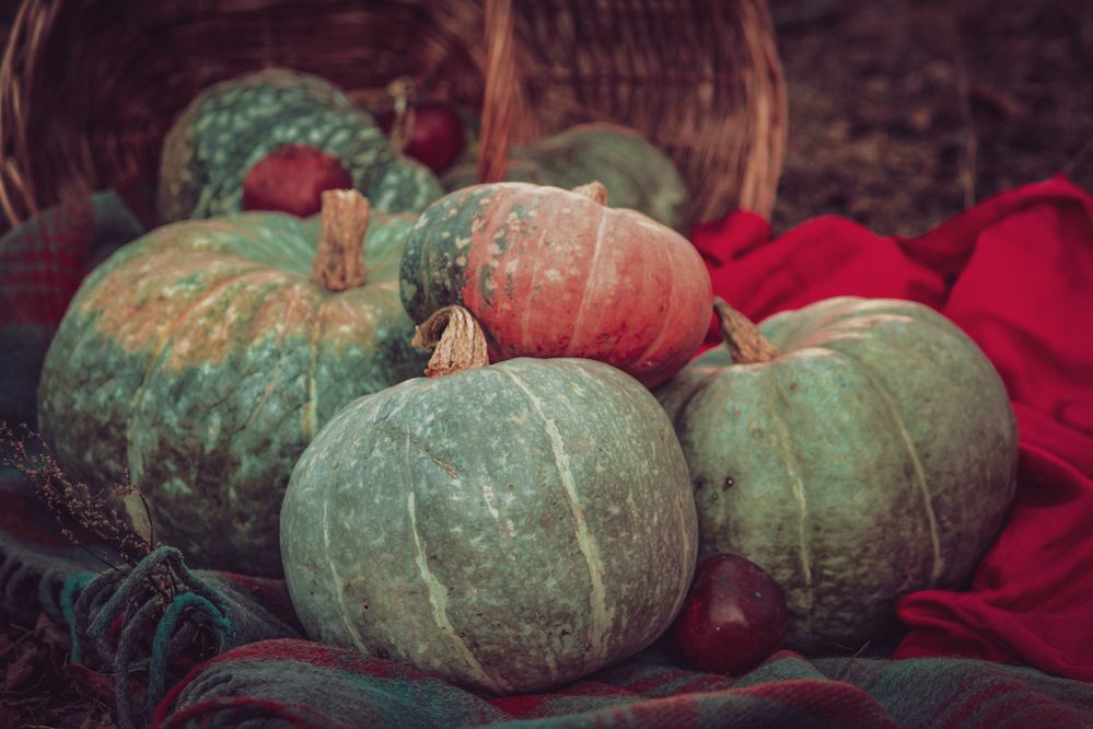 Photograph by Елена Толстопятова