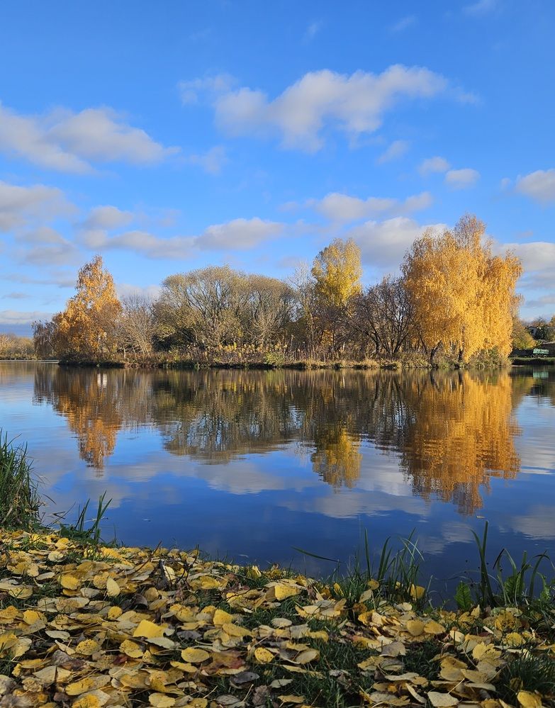 Фотография автора Elena Polonetskaya