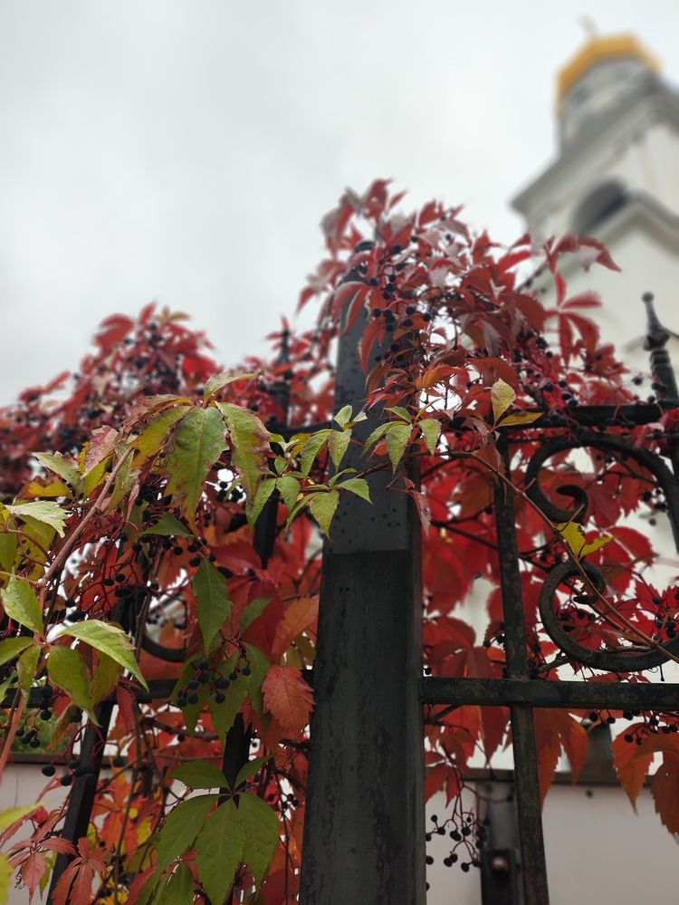 Photograph by Татьяна Пьянзина