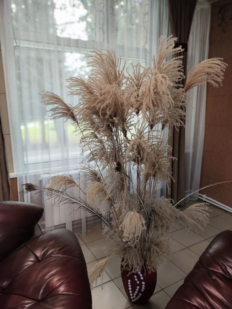 Photograph by Татьяна Пьянзина