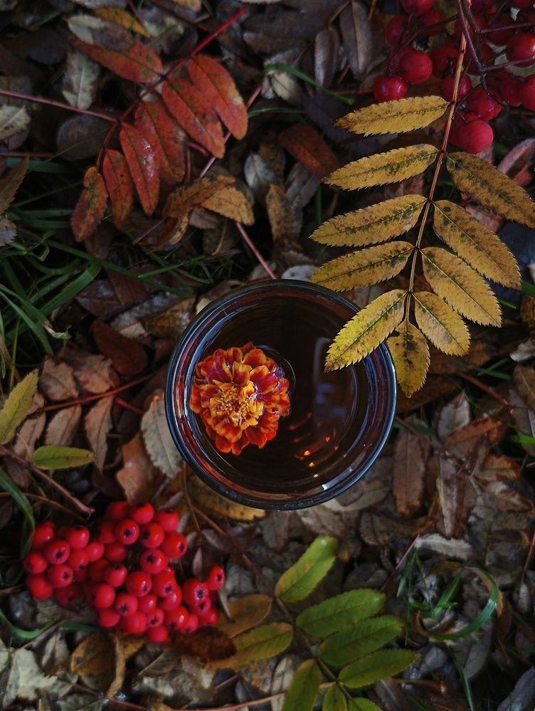 Photograph by Оксана Радзиевская