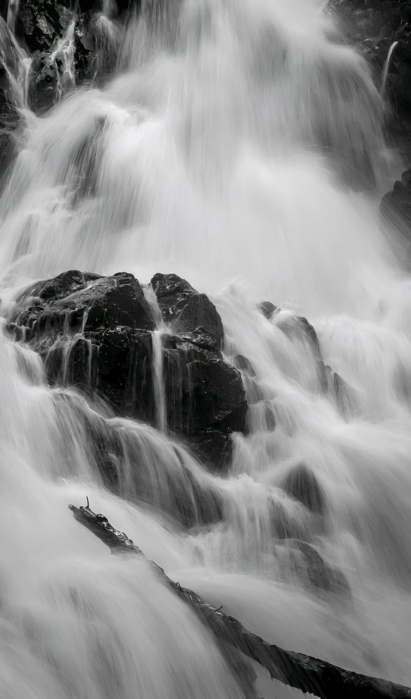 Photograph by Michael Gault